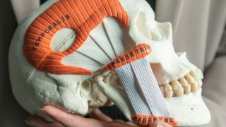 Lazítsd el a rágóizmaidat!