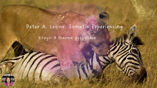 8. Mit kell megtanulnunk az állatoktól?