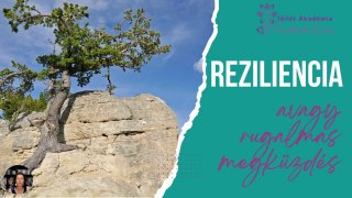 1. Mi a reziliencia?