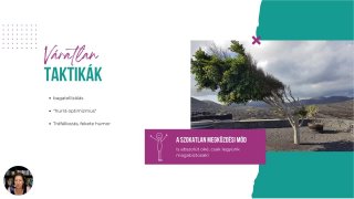 3. Váratlan taktikák