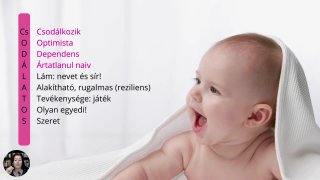 BGY4 - Csodagyermek1.