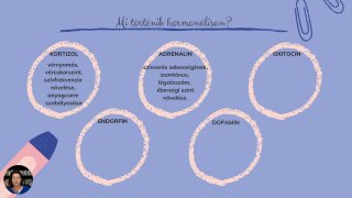 Hormonális változások a bántalmazó kapcsolatban