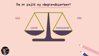 Mi zajlik az idegrendszerben?