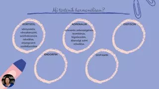 Hormonális változások a bántalmazó kapcsolatban